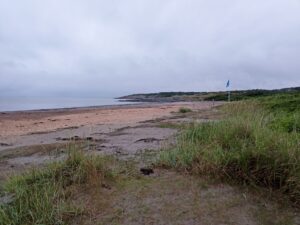 Stranden norrut