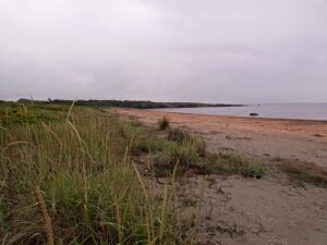 stranden söderut