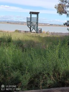 Utsiktstorn Salinas La Mata
